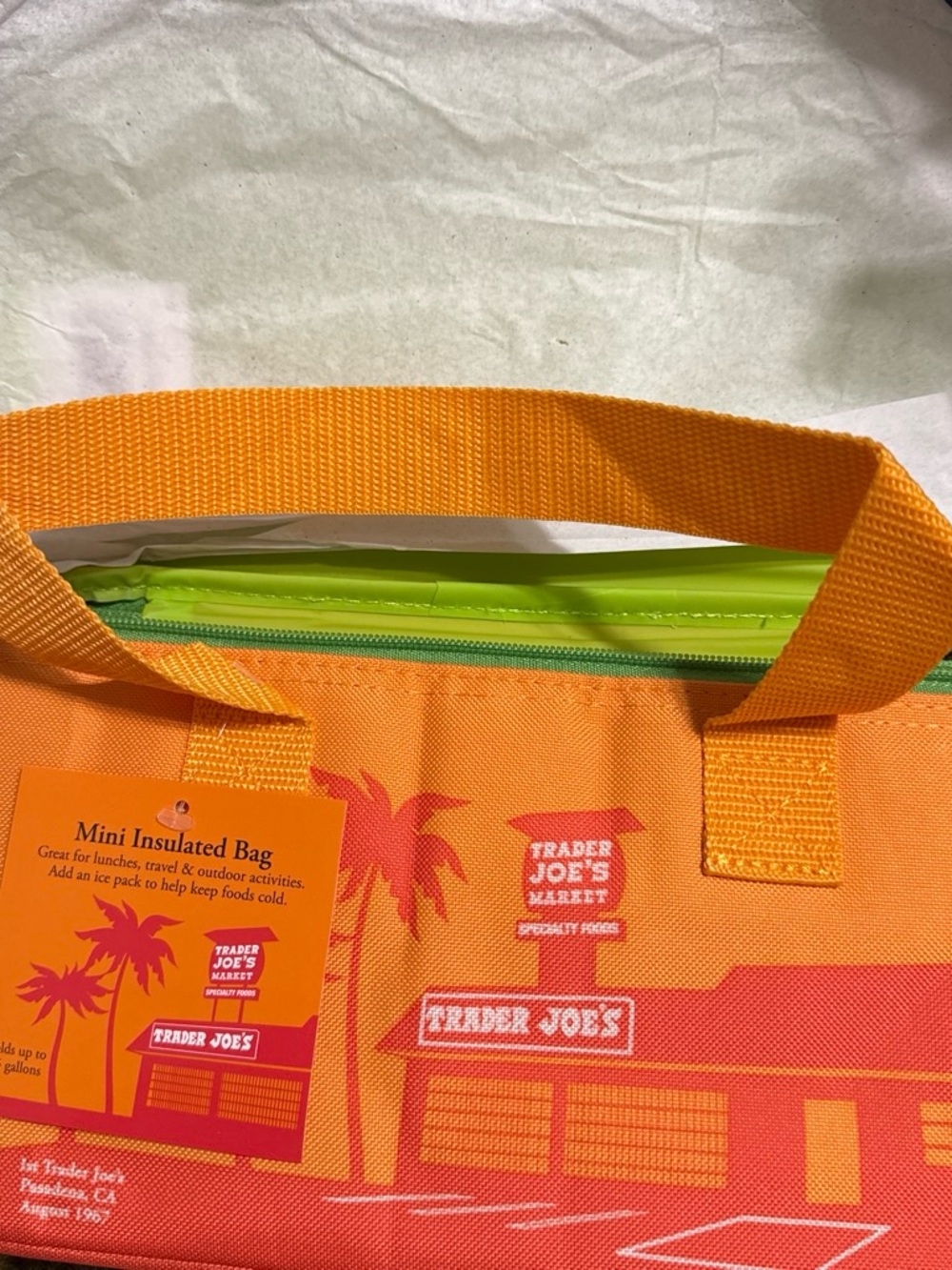 Trader Joe’s Mini Insulated Bag
